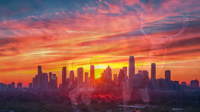 도박빚 개인회생