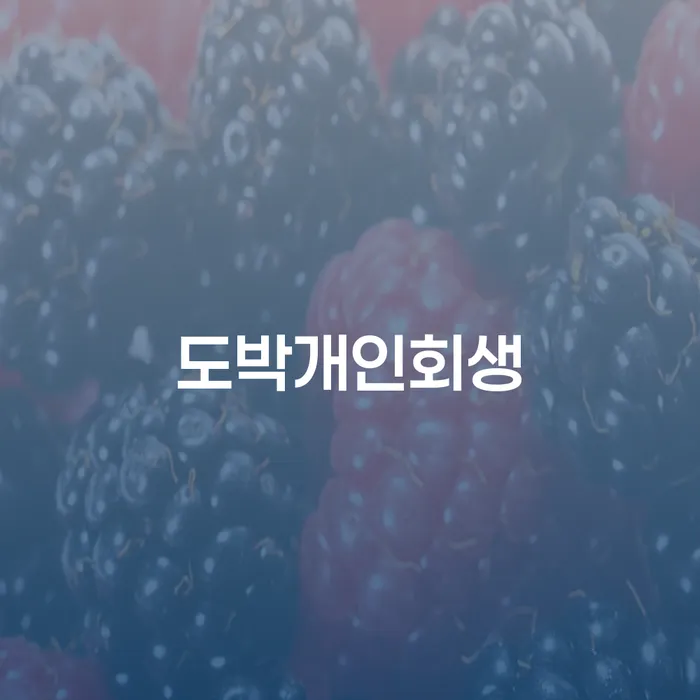 예천군 신불자 카드빚 연체 변호사추천