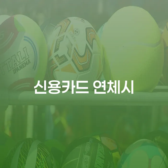 노원구 회생절차 연체 채무 신속해결방법 미리알기